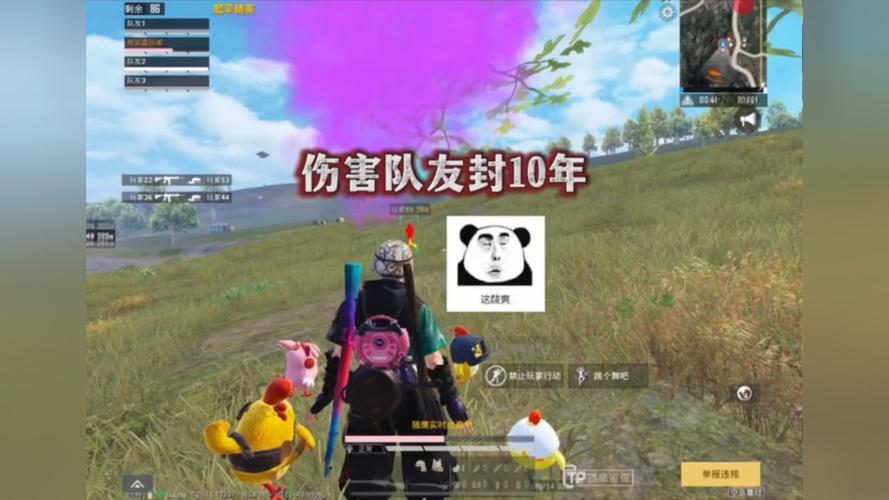 手机和平精英辅助透视